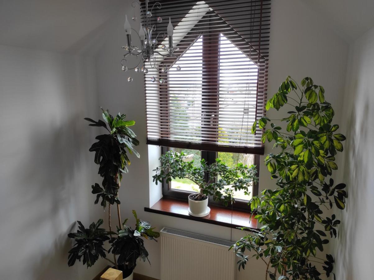 Norwida 28 Appartement Olecko Buitenkant foto
